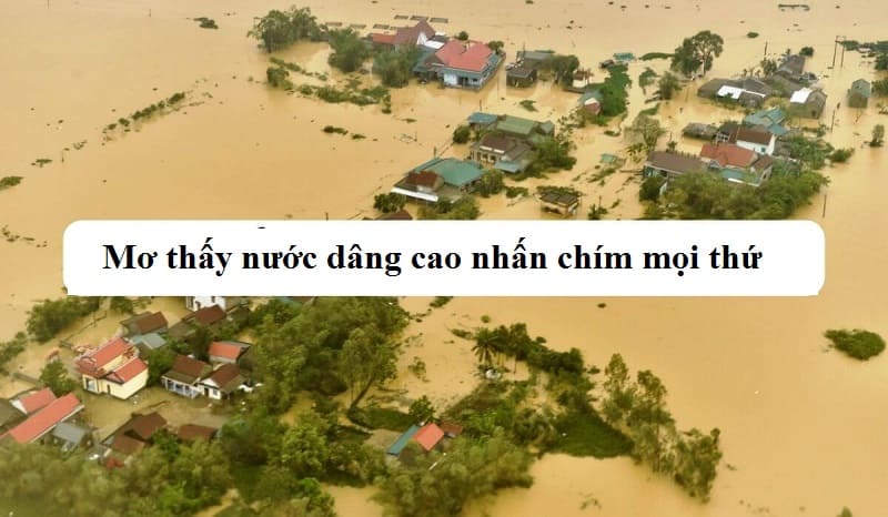 Mơ thấy nước dâng cao nhấn chìm mọi thứ rất may mắn Mơ thấy nước dâng cao nhấn chìm mọi thứ rất may mắn
